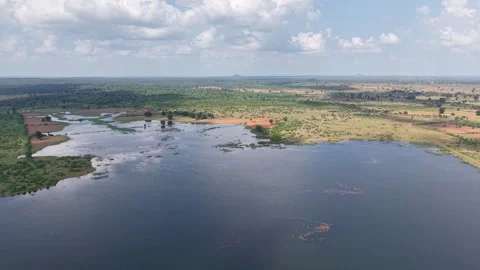Cinematic-pull-away-drone-shot-over-wetland-lake-and-rural-landscape Stock Footage 341590485