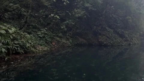 Cinematic Push Shot of Dark Forest Lake with Reflections Stock Footage 330619189