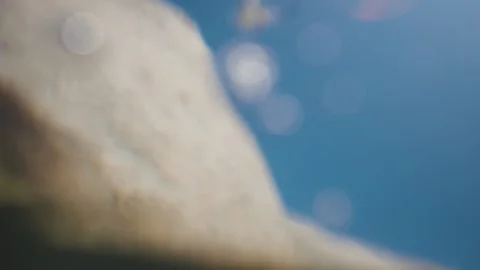 Cinematic rack focus split level shot of the ocean current and a seagull flying Stock Footage 332482675