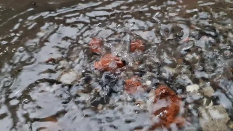 Cinematic Rain Drops Falling on Stone – Moody Nature Close Up Video stock 330863548