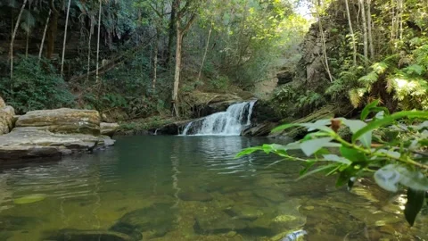 Cinematic real time view of waterfall with blurred forest foreground Stock Footage 339631992