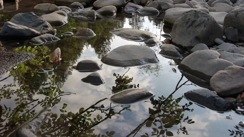 Cinematic Reflections in Riverbed - Dolly Shot Vídeo Stock 73234839