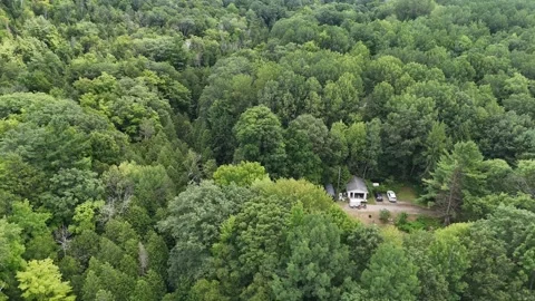 Cinematic rise over a dense forest with a lone house, pan down Video stock 315080077
