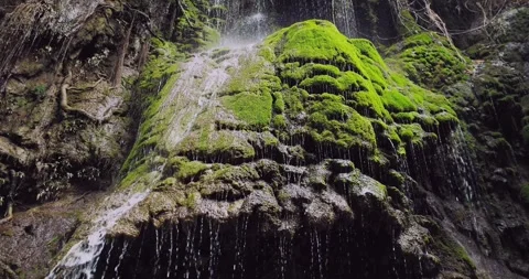 Cinematic River Flow Through Tropical Jungle Canyon with Rocks Video stock 332350384