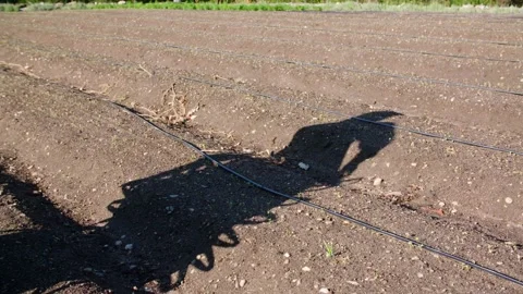 Cinematic shadow of farmer and tool seeding in fall Stock Footage 229331774