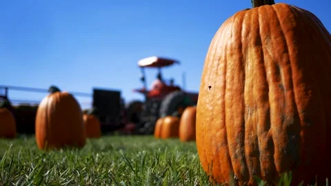 Cinematic Shot of Blurry Tractor or Hay Ride Going Past Pumpkin Patch Stock Footage 286916746