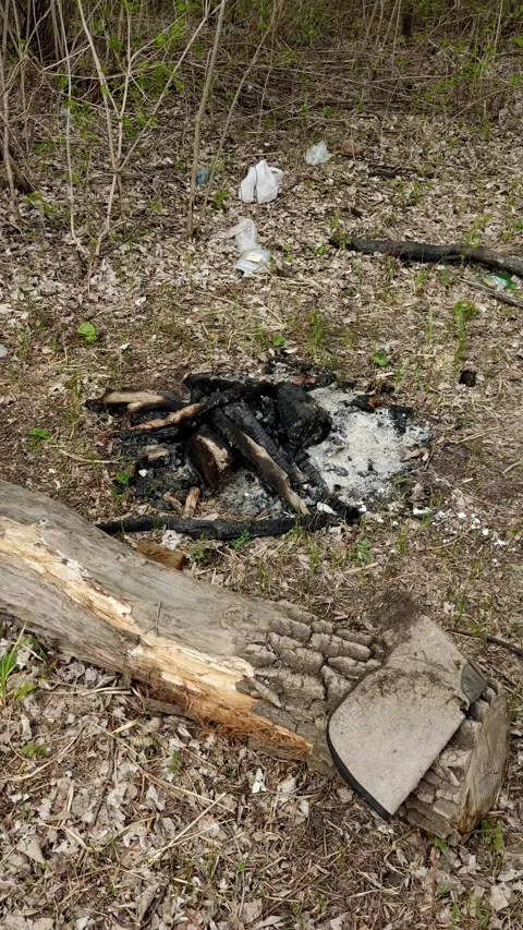 Cinematic shot of a burnt campfire with ash and litter Stock Footage 334228242