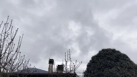 Cinematic shot of dramatic day with cloudy sky, beginning of storm, hurricane or Stock Footage 313338683