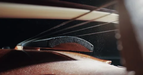 Cinematic shot of playing the violin in the shadows with particles flying in  Vídeos de archivo 330119400