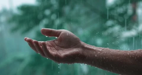 Cinematic shot of raindrops falling on man's hand during the raining on green Stock Footage 243653979