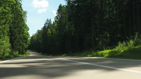 Cinematic shot of the road in pine tree forest at sunny summer day Stock Footage 150977688