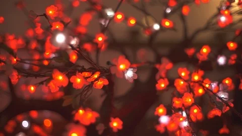Cinematic shot of sakura tree with blurred background Stock Footage 107673207