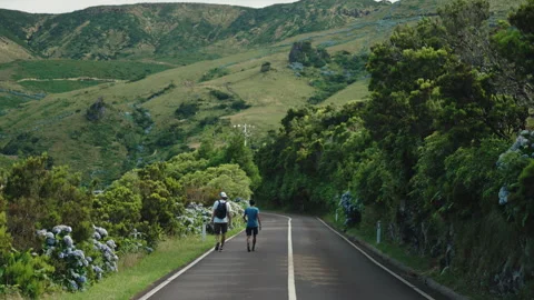 Cinematic Shot of Two Men Walking Along a Scenic Road Lined with Blue Hydrangeas Vidéo 335010743