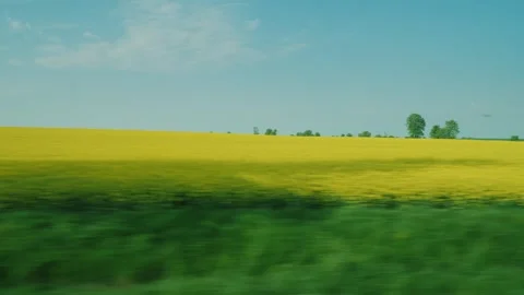 Cinematic side view from car window driving past blooming yellow rapeseed f.. Vídeos de archivo 334837960