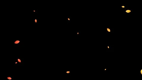 Cinematic slow motion falling autumn leaves on black background Video stock 347136752