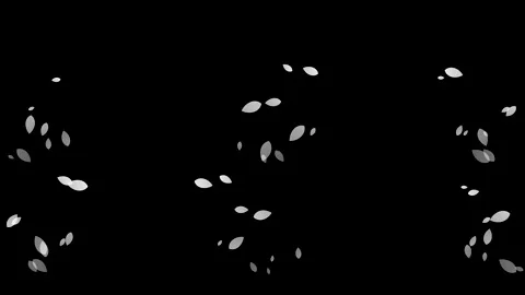 Cinematic slow motion of falling leaves on black background Stock-Footage 347134698
