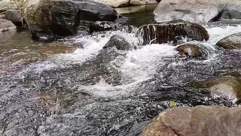 Cinematic Slow Motion Forest River Stream - Rushing Water Over Rocks Full HD Stock Footage 329086244