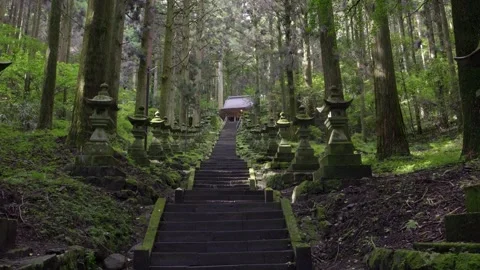 Cinematic slow motion push in toward shrine inside deep lush forest Stock Footage 317617111