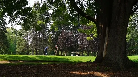 Cinematic Slow Motion Shot of People Playing Golf During Sunny Day Stock Footage 80390553