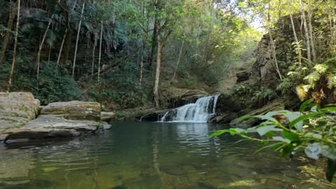 Cinematic slow motion of small waterfall in a forest with blurred foreground Stock Footage 339604529
