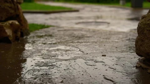 Cinematic slow motion summer rain falling on stone pathways in park Stock Footage 333892993