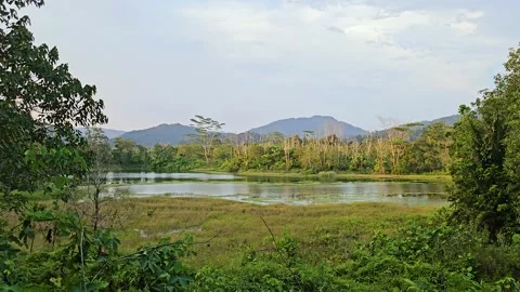 Cinematic slow pan left to right revealing a calm lake surrounded by tropical 스톡 동영상 347940073
