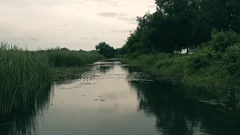 Cinematic small river 库存影片 247399852