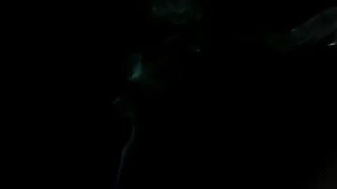 Cinematic Smoke Stream Video stock 164926228