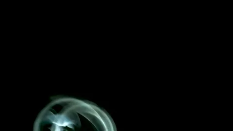 Cinematic Smoke Stream Stock Footage 164928466