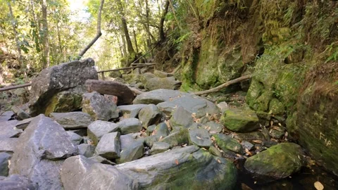 Cinematic smooth slide over wet mossy rocks near a hidden waterfall Stock Footage 340276612