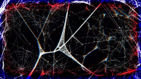 Cinematic Spider Web Cobweb Reveal Intro Motion Background Video Effect Stock Footage 341658927
