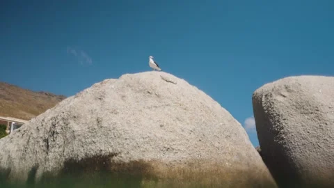 Cinematic split level shot showing the ocean surface below and above a lone Stock Footage 332480516