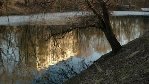 Cinematic spring wildlife moment centered on water and reflection Stock Footage 328124816