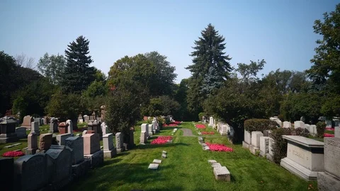 Cinematic Steadicam Through Cemetary Stock Footage 80468703