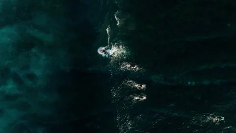 Cinematic Style Flyover Surfer Paddling Uluwatu Water 4K Vidéo 341003633