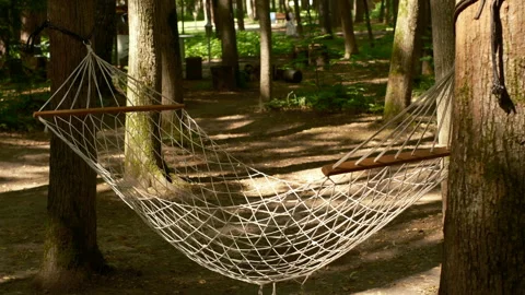 Cinematic, summer hammock in forest, sun. background trees, sunset. Stock Footage 280104899