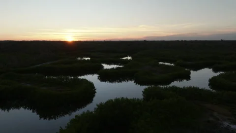 Cinematic sunrise pullback over mangroves and calm river water Stock Footage 336194749