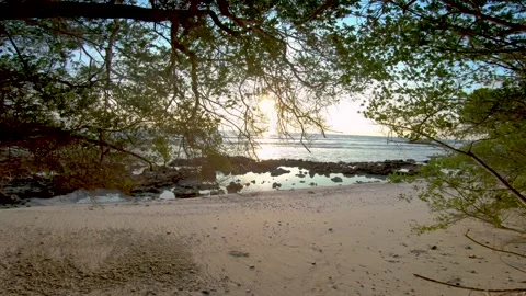 Cinematic Sunrise View on a beach sea through tree branches Stock Footage
