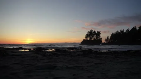 Cinematic Sunset Beach with Trees and Smooth Leftward Camera Movement 스톡 동영상 313635297