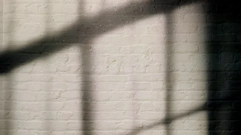 Cinematic Sunset Light, Windows Shadow on Wall Texture, Aesthetic Background. Stock Footage 289344999