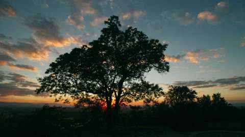 Cinematic sunset time-lapse with tree in foreground Vídeo Stock 63220015