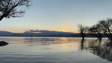 Cinematic sunset view over a tranquil lake with silhouetted trees. Video stock 328683974