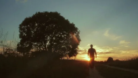 Cinematic sunset. Walk at sunset Video stock 78057444
