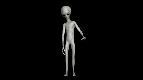 Cinematic Super-Realistic Gray Alien 3D Motion Stock Footage 324568762