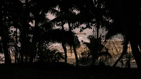 Cinematic Surf Beach Walk Stock Footage 309343899