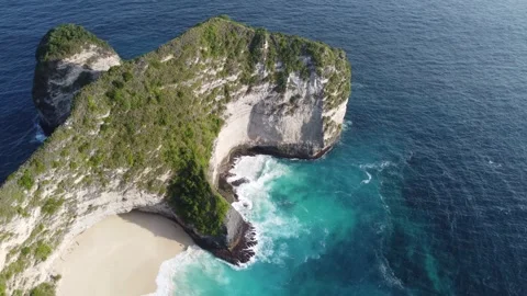 Cinematic T-Rex orbit Stock Footage 329884017