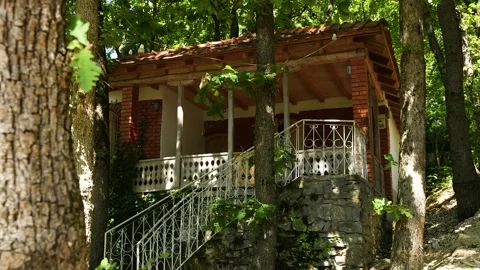 Cinematic Tilt Down Reveal of a Rustic Forest House Under Green Canopy Stock Footage 328525902