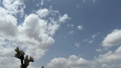 Cinematic Time-lapse of White Clouds Moving Across Blue Sky Above Green Tree Stock-Footage 331645816