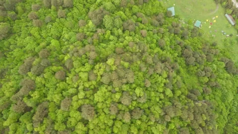 Cinematic top-down aerial flight over lush mountain forest Vídeos de archivo 337462790