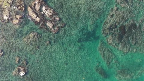 Cinematic Top Down Aerial View of Clear Turquoise Sea and Coastal Reef Stock Footage 344778565